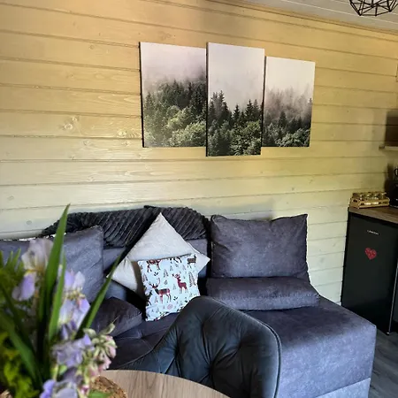 Stream Housee Slavske