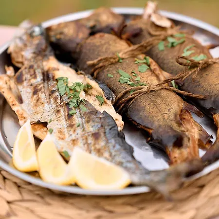 Stream Housee * Slavske