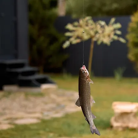 Prázdninový dům Stream Housee *