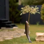 Hébergement de vacances Stream Housee *